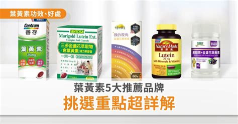 黃色眼睛 品牌|葉黃素功效有哪些？3推薦品牌最強護眼！何時吃？怎。